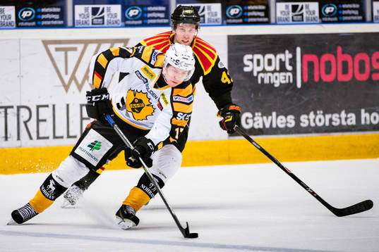 Skellefteås Pär Lindholm och Brynäs Greg Scott