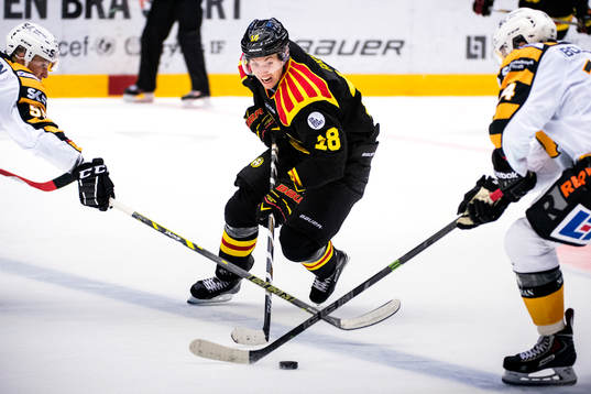 Brynäs Anton Rödin
