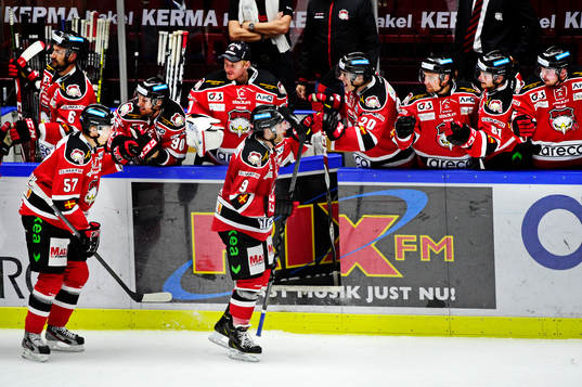 Malmö Redhawks Fredrik Storm (mitten) jublar med