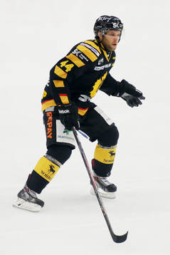 Skellefteås Rob Schremp