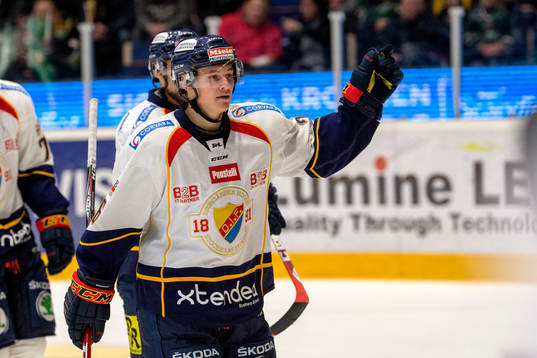 Djurgårdens David Rundqvist  jublar