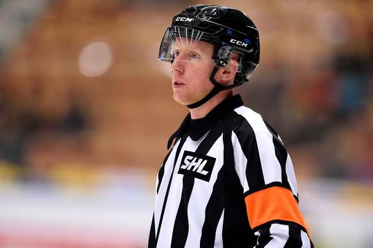Domare Mikael Holm