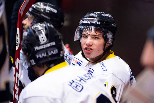HV71s  David Petrasek och Kevin Fiala delar olika åsikter