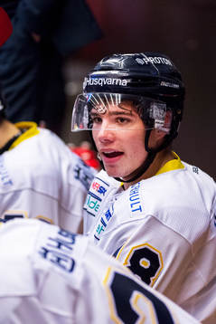 HV71s Kevin Fiala deppar i båset