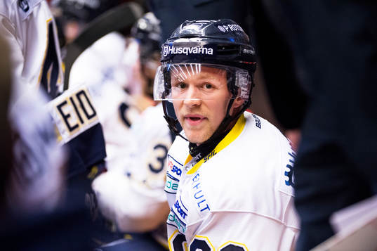 HV71s Ted Brithén