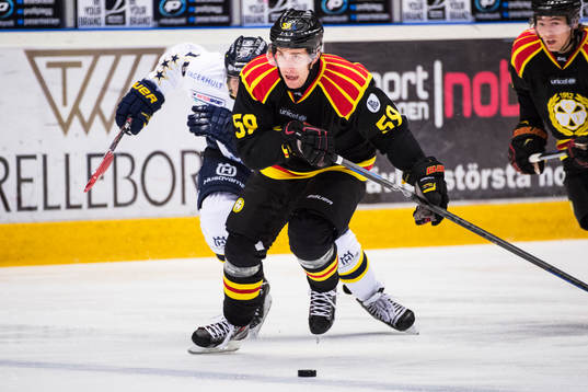 Brynäs Sebastian Enterfeldt