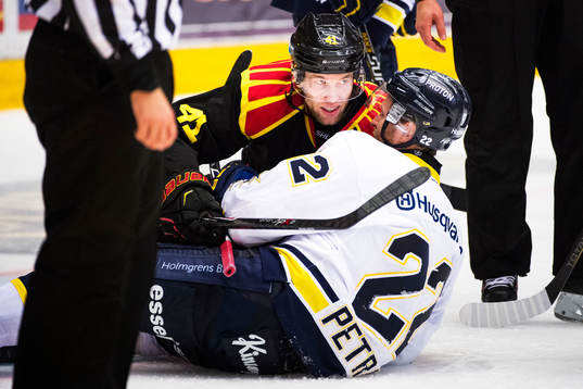 Brynäs Greg Scott och HV71s  David Petrasek