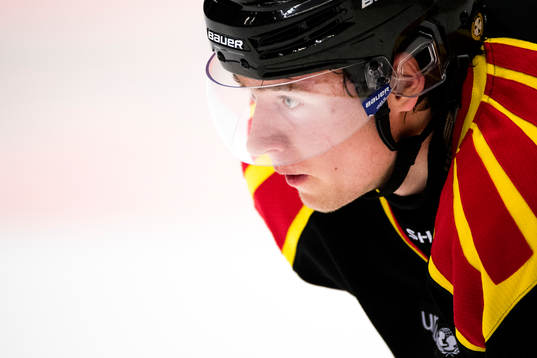 Brynäs Christian Djoos