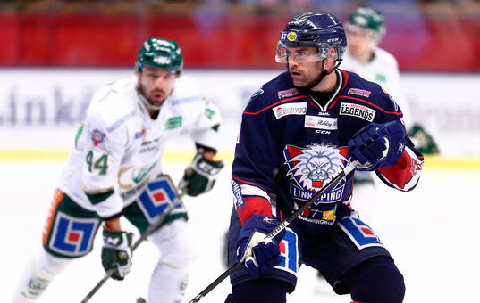 Färjestads Milan Gulas och Linköpings Kent McDonell