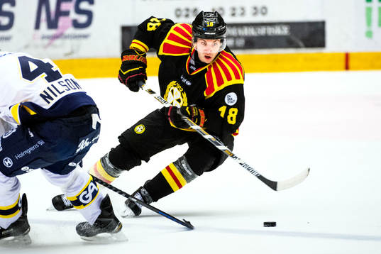Brynäs Anton Rödin
