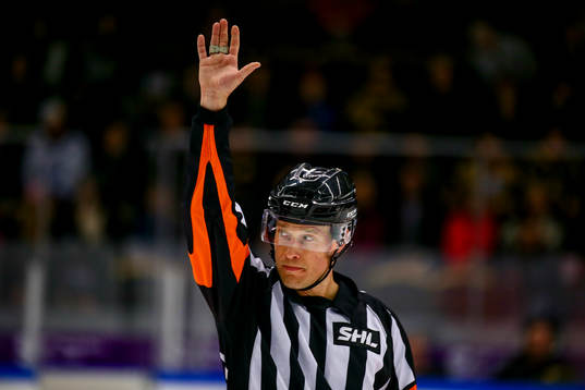 Domaren Tobias Björk
