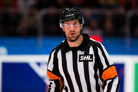 Domare Mikael Sjöqvist