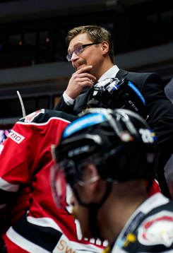 Malmö Redhawks assisterande tränare Björn Hellkvist