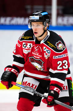 Malmö Redhawks Sebastian Strandberg