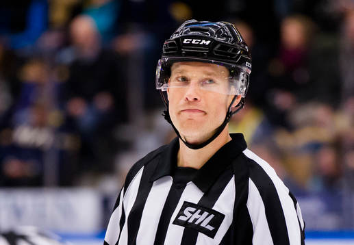 Domaren Tobias Björk