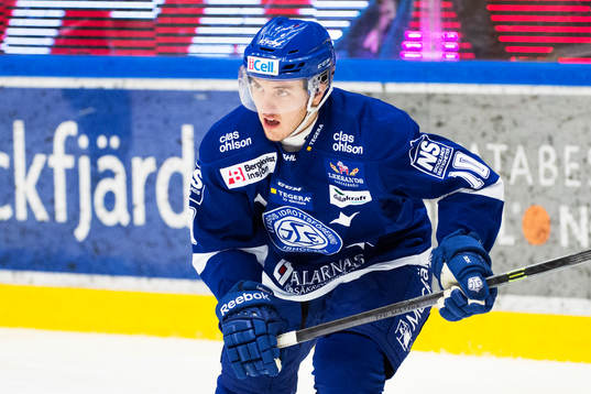 Leksands Brian Connelly