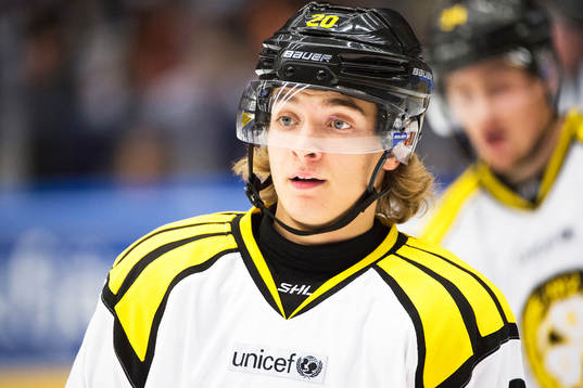 Brynäs Adam Brodecki deppar