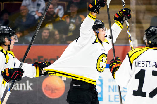Brynäs Christian Djoos rycker i Anton Rödin tröja