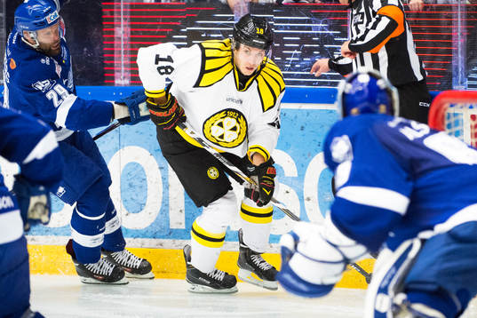 Brynäs Anton Rödin