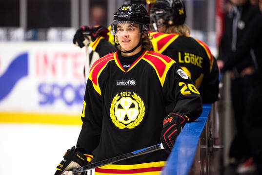 Brynäs Adam Brodecki före ishockeymatchen i SHL mellan