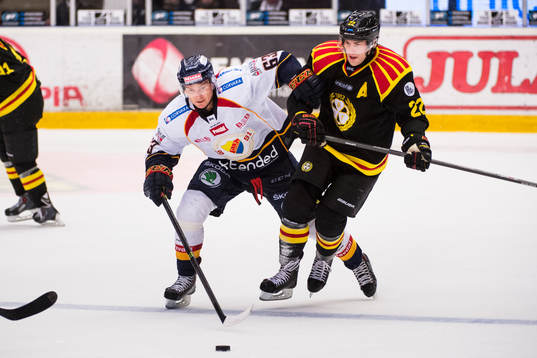 Djurgårdens Vjatjeslav Trukhno och Brynäs Jörgen