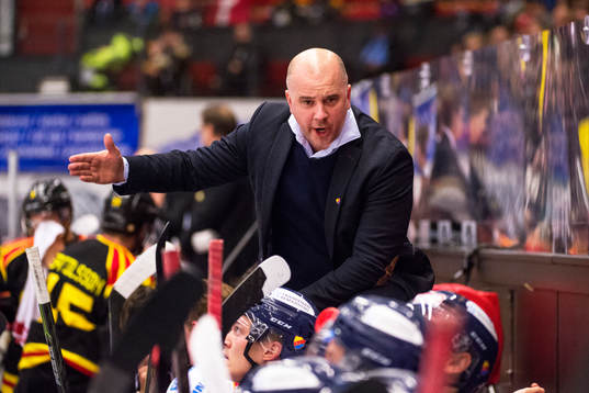 Djurgårdens assisterande tränare Stefan Nyman