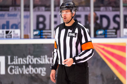 Domaren Mikael Sjöqvist
