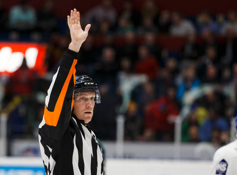 Domare Morgan Johansson