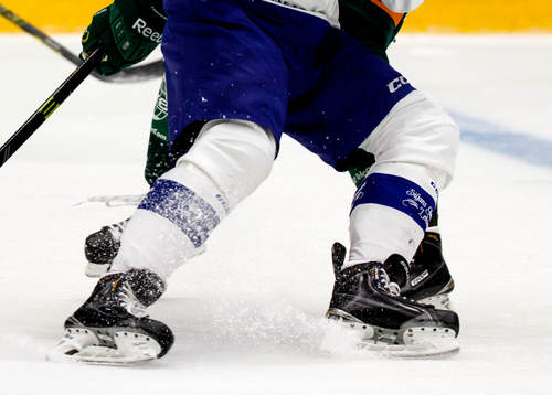under ishockeymatchen i SHL mellan Färjestad och Leksand