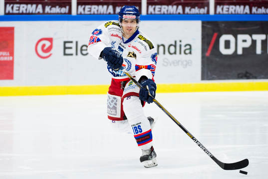 Oskarshamns David Rodman