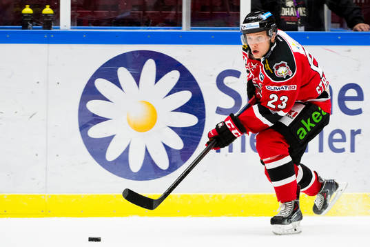 Malmö Redhawks Sebastian Strandberg