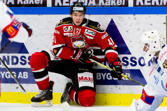 Malmö Redhawks Patrik Blomberg