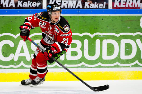 Malmö Redhawks Sebastian Strandberg