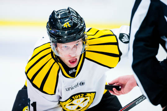 Brynäs Greg Scott fokuserar på pucken