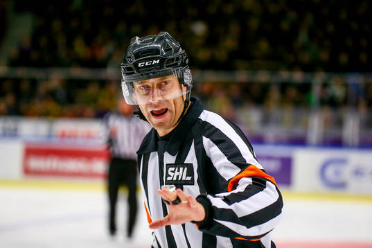 Domaren Sören Persson