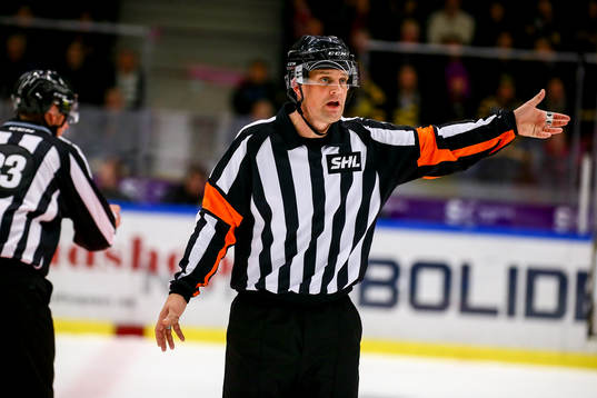 Domaren Mikael Nord