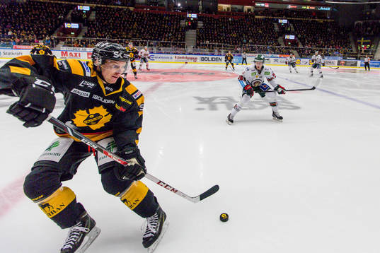Skellefteås Niclas Burström