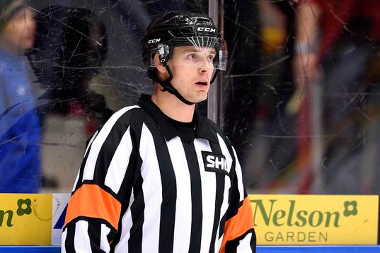 Domare Mikeal Andersson