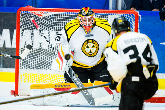 Brynäs målvakt Jonas Johansson