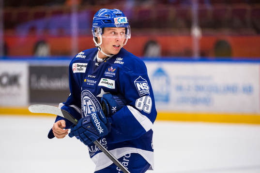 Leksands David Åslin