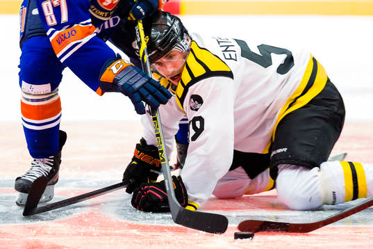 Brynäs Sebastian Enterfeldt