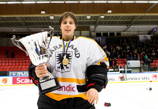 Stefan Livs Målvaktspris till bäste målvakt i TV-pucken