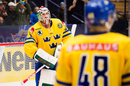 Sveriges målvakt Anders Nilsson jublar