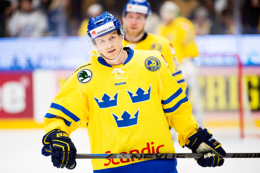 Sveriges Ted Brithén deppar
