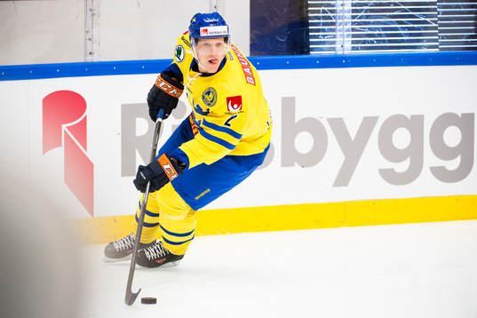 Sveriges Niclas Lundgren