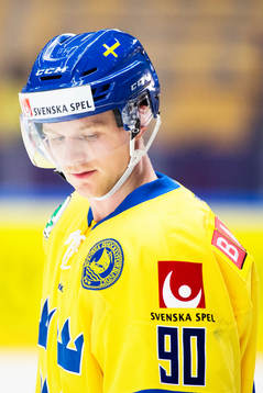 Sveriges Ted Brithén före ishockeymatchen i Karjala Cup