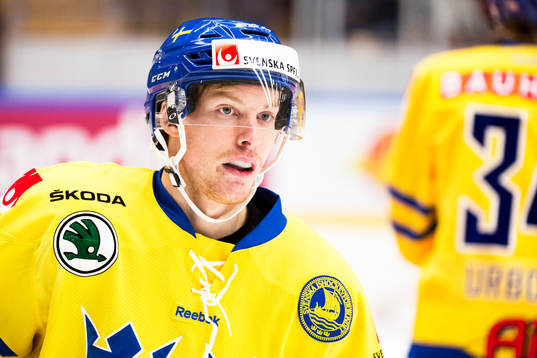 Sveriges Niclas Burström