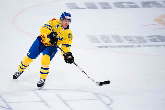 Sveriges Niclas Burström