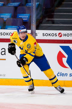 Sveriges Niclas Burström
