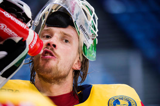 Sveriges målvakt Anders Nilsson